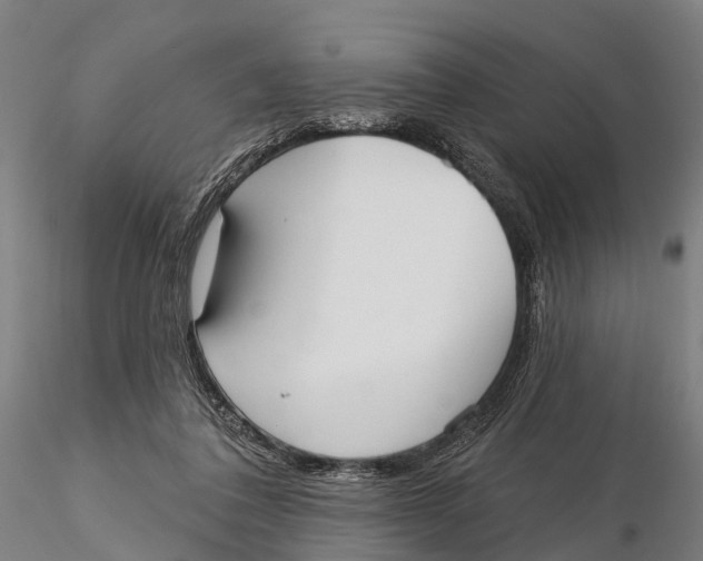 X0000115710308200912031534