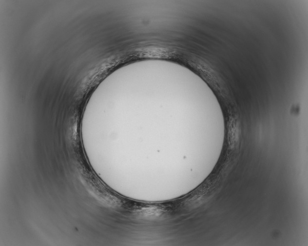 X0000115710310200912031534