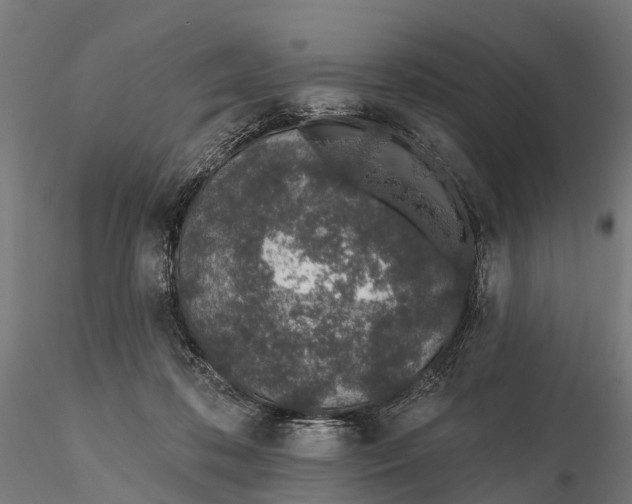 X0000115710316200912031534