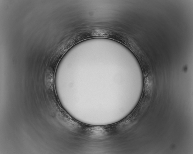 X0000115710322200912031534