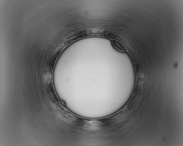 X0000115710324200912031534