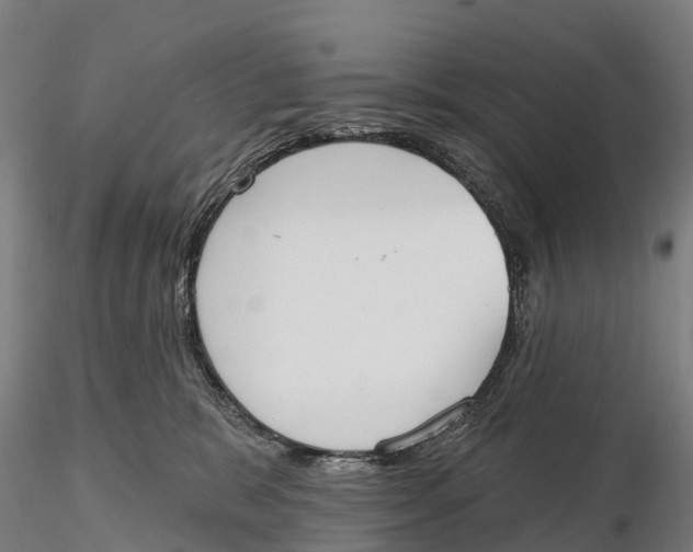 X0000115710327200912031533