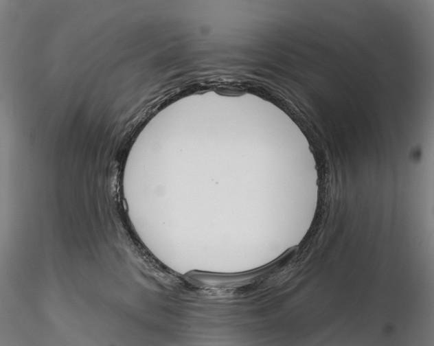 X0000115710328200912031533