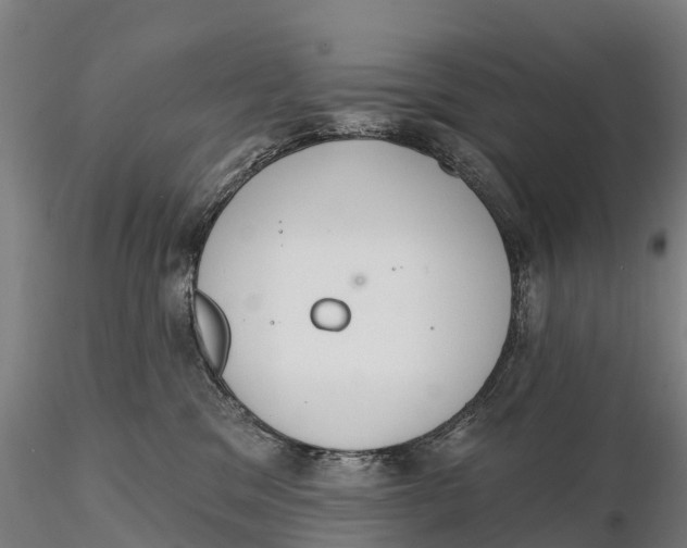 X0000115710329200912031533