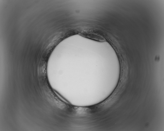 X0000115710336200912031533