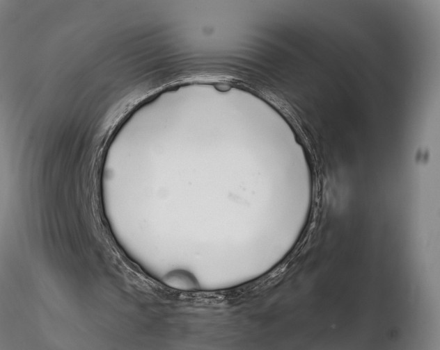 X0000115710337200912031533