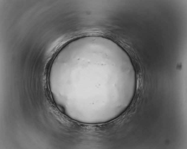 X0000115710339200912031533