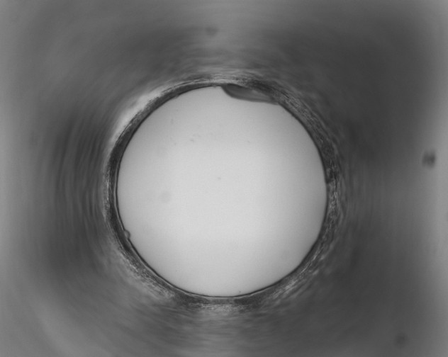 X0000115710342200912031533