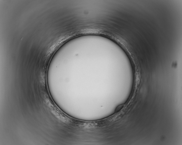 X0000115710345200912031533