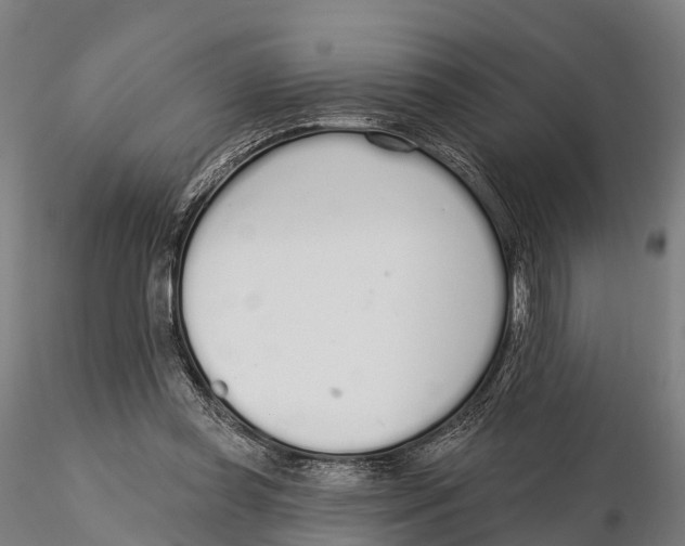 X0000115710349200912031533