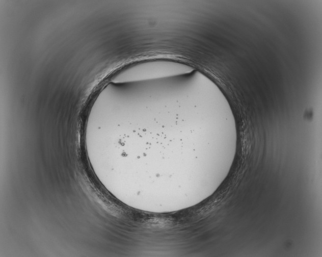 X0000115710350200912031533