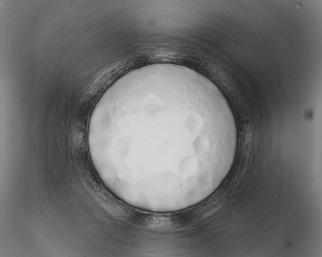 X0000115710361200912031533