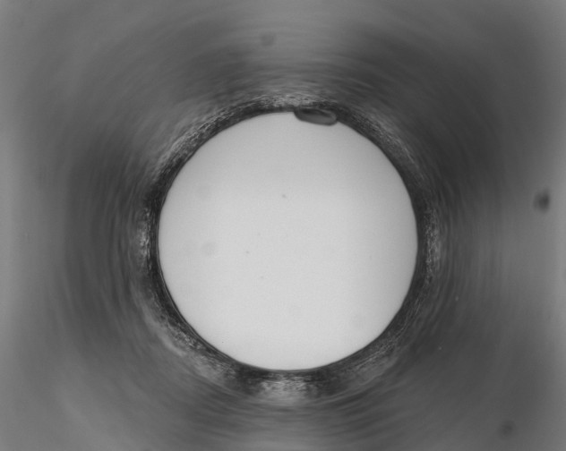 X0000115710362200912031533