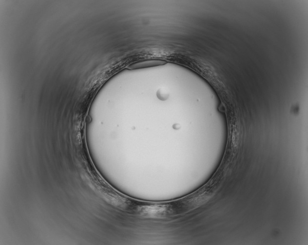 X0000115710366200912031533