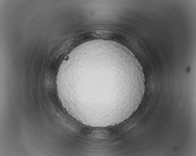 X0000115710371200912031533