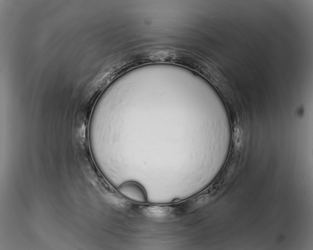 X0000115710375200912031533