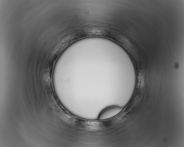 X0000115710377200912031533