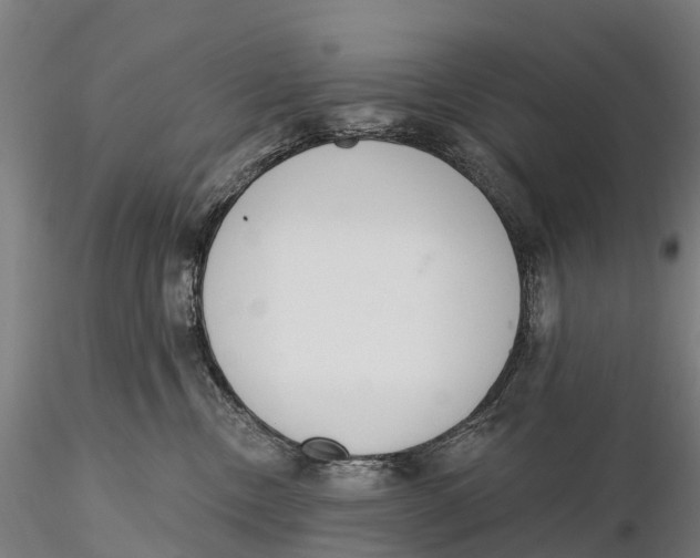 X0000115710378200912031533