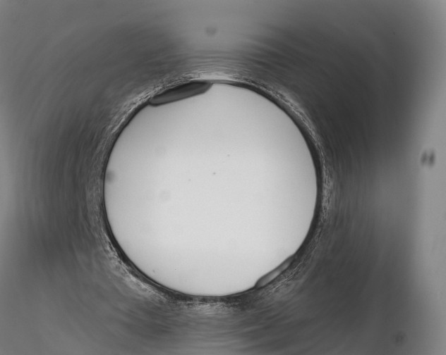 X0000115710385200912031533