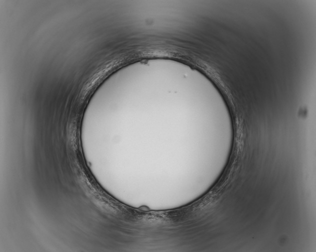 X0000115710386200912031533