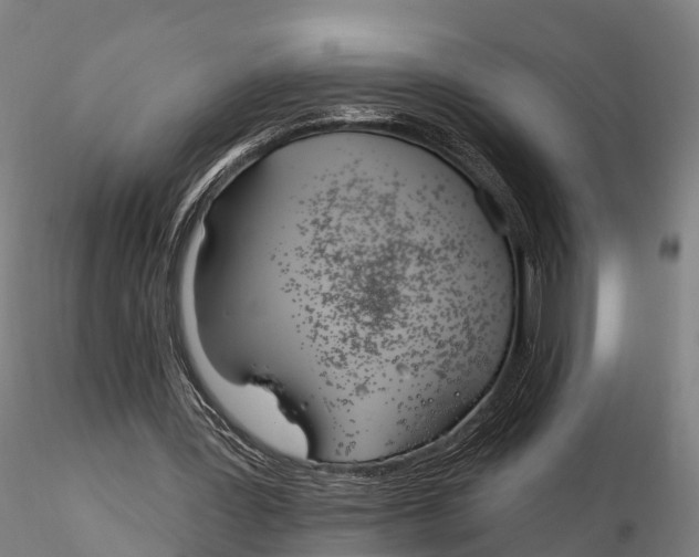 X0000115710387200912031533