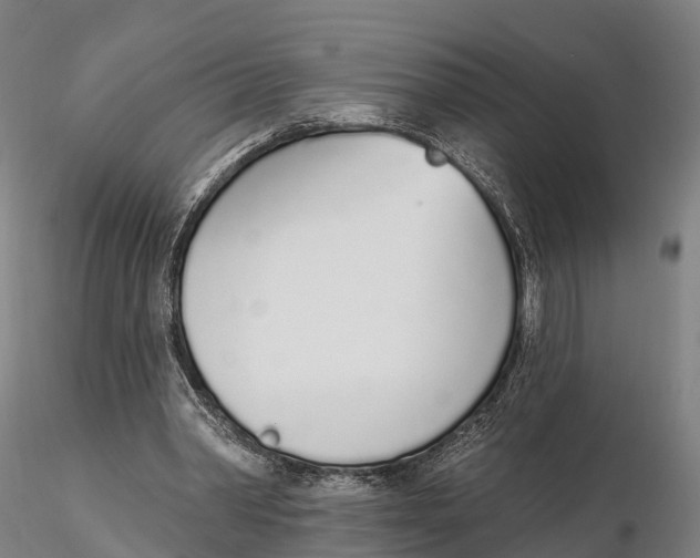 X0000115710390200912031533