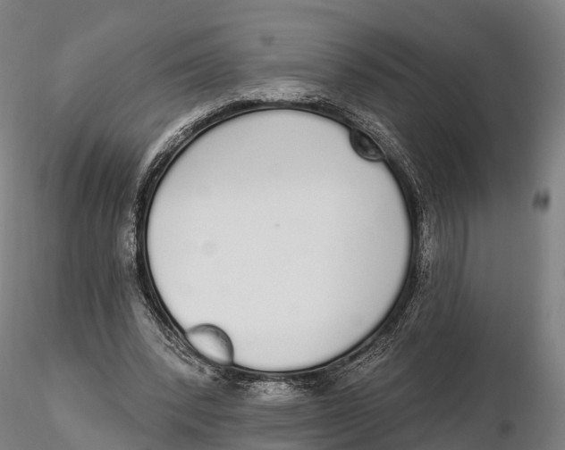 X0000115710392200912031533