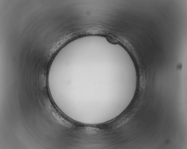 X0000115710393200912031533