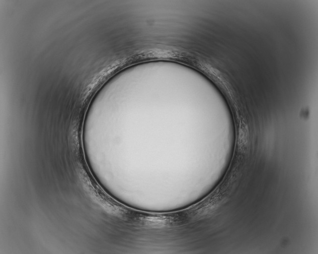 X0000115710394200912031533