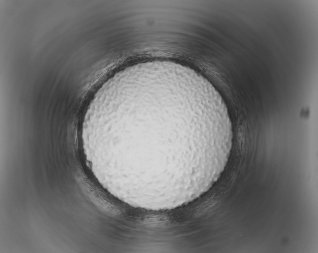 X0000115710398200912031533