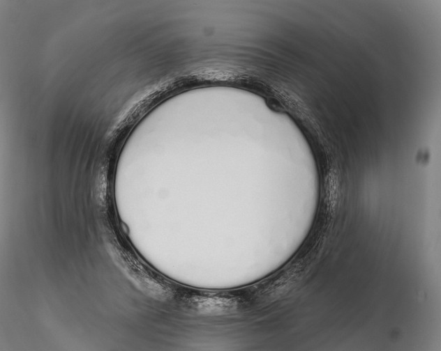 X0000115710400200912031532