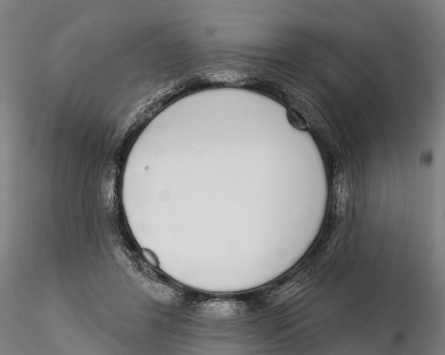 X0000115710404200912031532