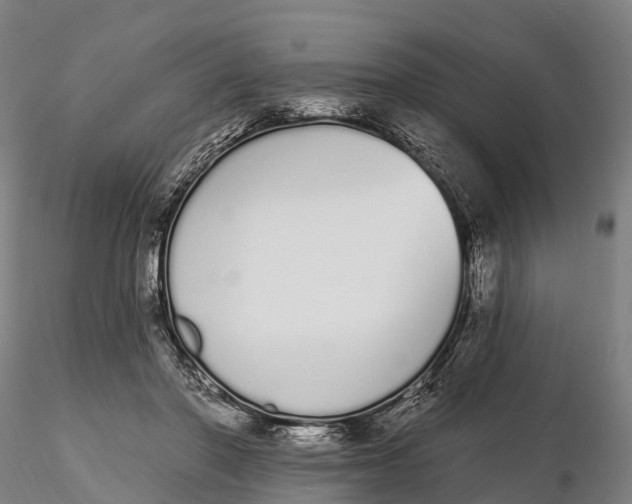 X0000115710406200912031532