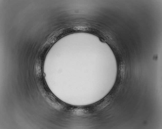 X0000115710408200912031532