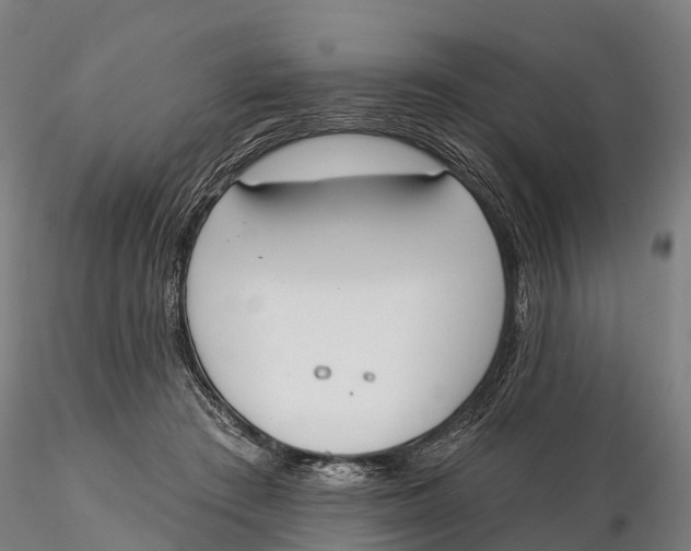 X0000115710409200912031532