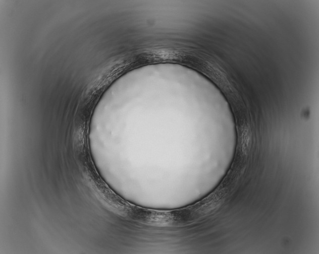 X0000115710410200912031532