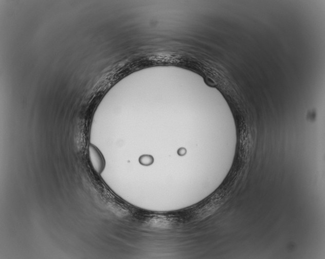 X0000115710416200912031532