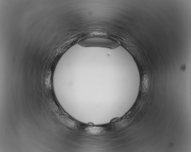 X0000115710417200912031532