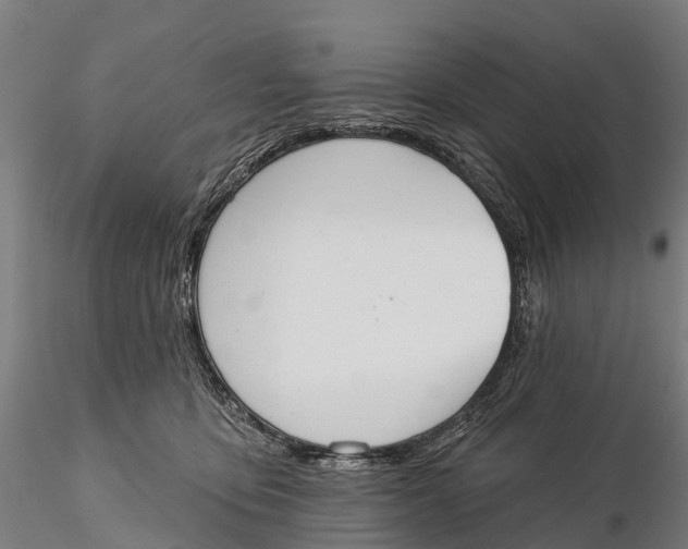 X0000115710419200912031532