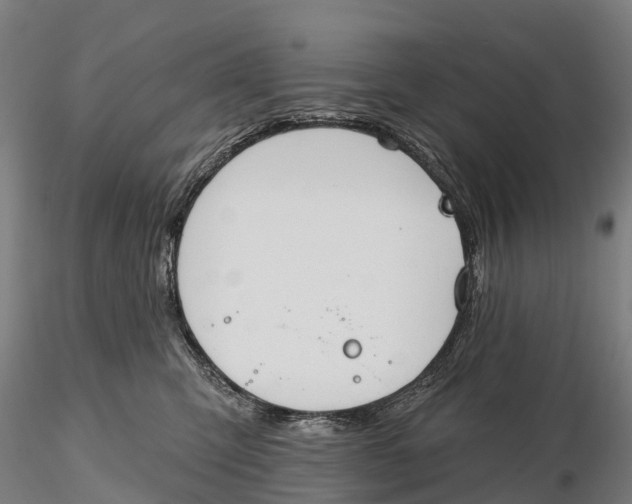 X0000115710423200912031532