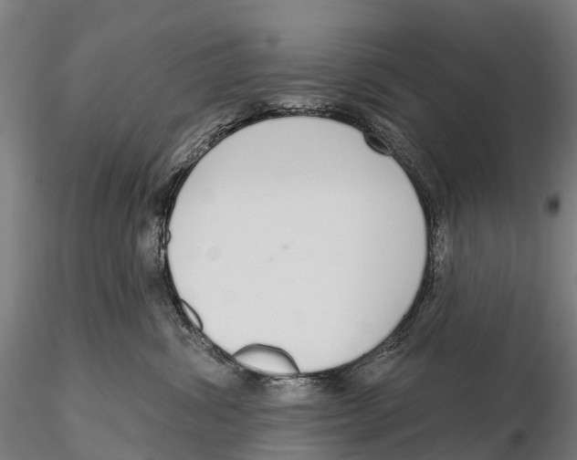 X0000115710428200912031532