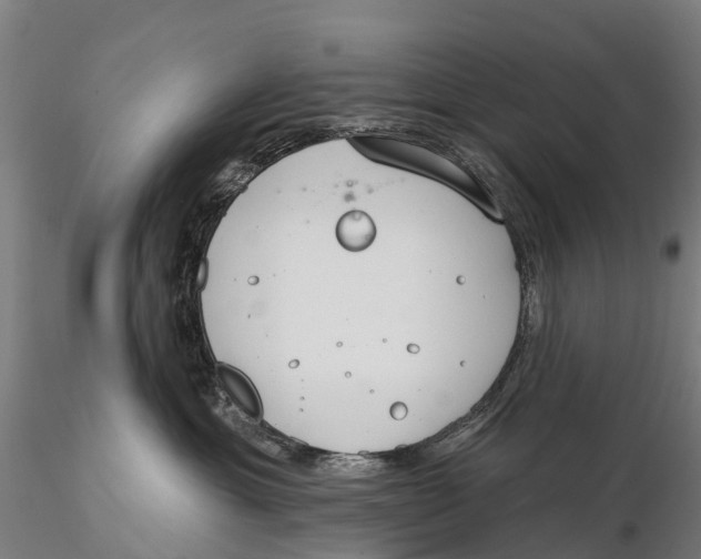 X0000115710429200912031532