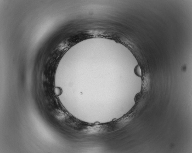 X0000115710430200912031532