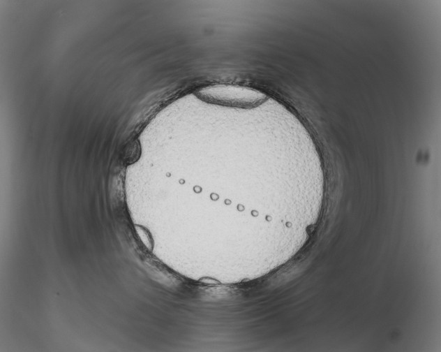 X0000115710432200912031532