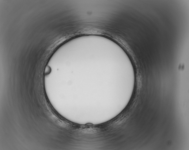 X0000115710433200912031531