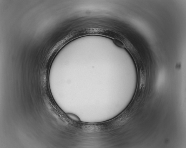 X0000115710435200912031531