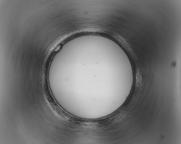 X0000115710436200912031531