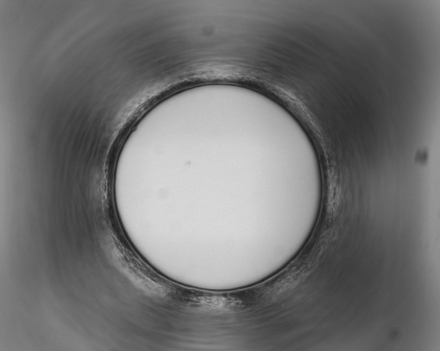 X0000115710439200912031531