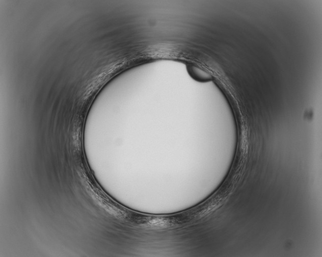 X0000115710441200912031531