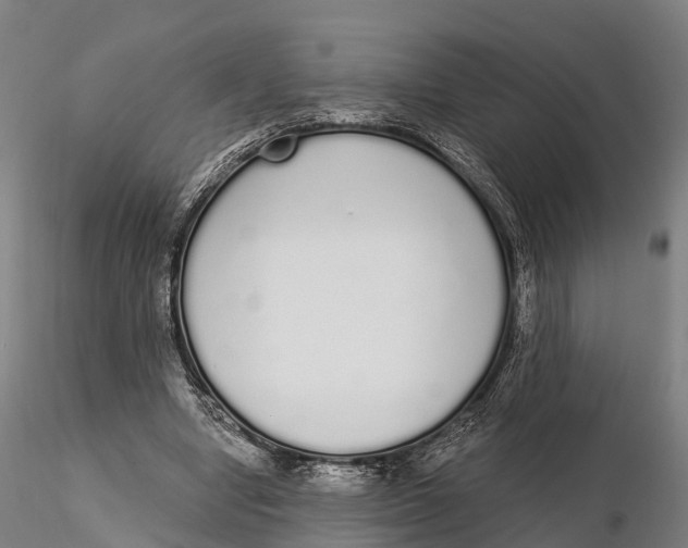 X0000115710442200912031531